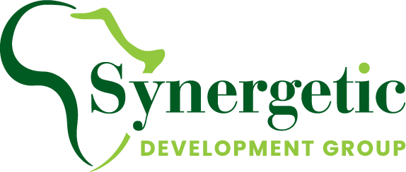 SDG Logo